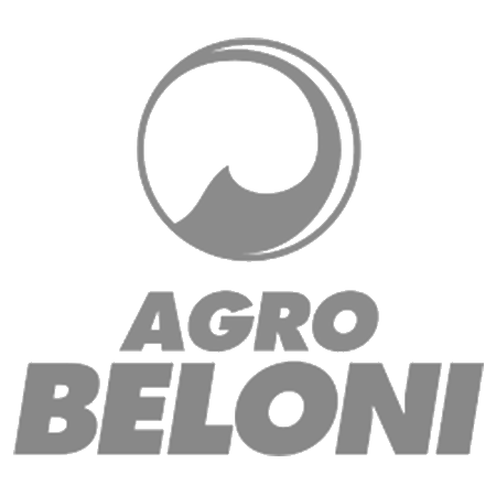 agro-beloni-logo-cinza