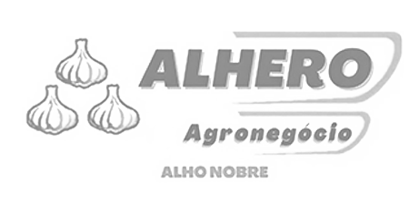 alhero-logo-cinza