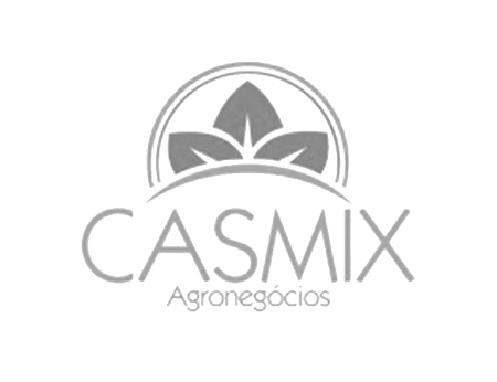 casmix-logo-cinza