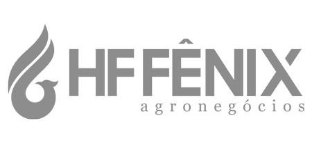 hffenix-logo-cinza